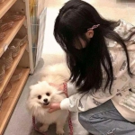 万博手机版max网页版